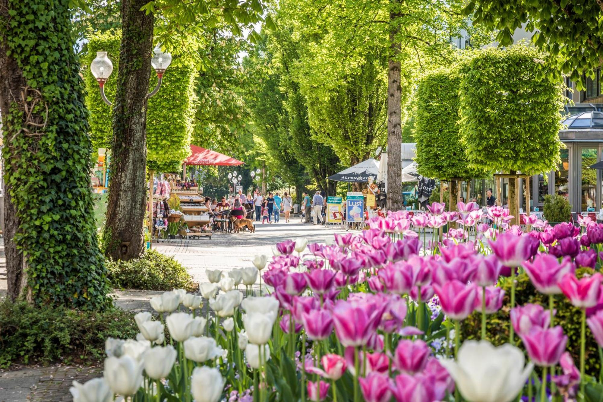 Villa Rein Boutiquehotel Bad Reichenhall Eksteriør bilde